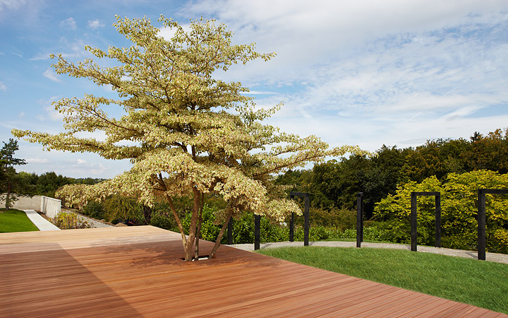 martin abplanalp -  gartenarchitektur und farbgestaltung